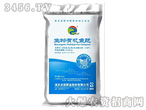 �����ЙC�~��-�f�@�ʘI(y��)