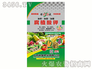 ��ֳ���-��ʢ�ʘI(y��)