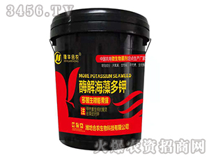 ø�⺣����-���r(n��ng)����