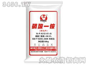 ����һ�@12-61-0-�t�{��-����