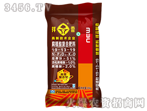 51%��ֲ���(f��)�Ϸ���19-13-19-����