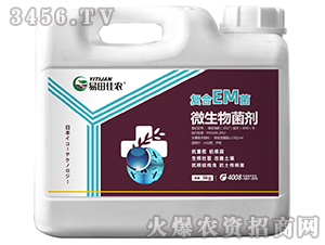 ��(f��)��EM��΢�������-������r(n��ng)