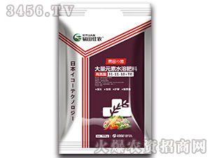 ����Ԫ��ˮ�ܷ���31-11-10+TE-���ﵪ-������r(n��ng)