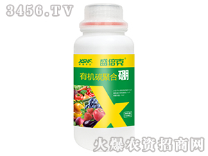 �ЙC̼�ۺ���-ʢ����-��ʢ���S