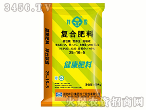 �ͺϷ���25-16-5-����