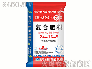 �ͺϷ���24-16-5-����