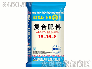 ��(f��)�Ϸ���16-16-8-����