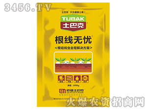 �����o�n-���Ϳ�-�S��