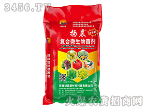 �ͺ�΢�������-�P��