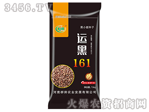 �\��161-��С���N��