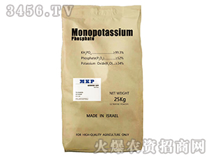 ��΢����������-����ֲ��