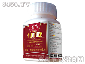 �ЙC��-ʥ��-���r����