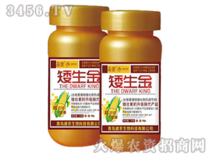 ���ﰫ���ЙC�{��(ji��)��-������-���r����