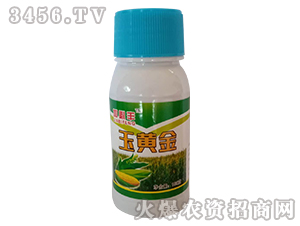 ���S��-�ӱ��S