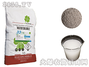 33���}-׿������