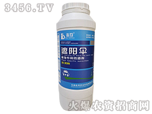 ���(y��ng)�㣨ֲ��÷��񄩣�-�ػ�-�Y�����