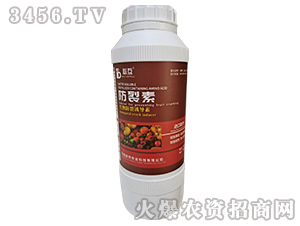 �����أ���������T��(d��o)�أ�-�ػ�-�Y�����