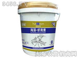 ���塤�r����-����-��������