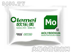 ������-�W����-�f