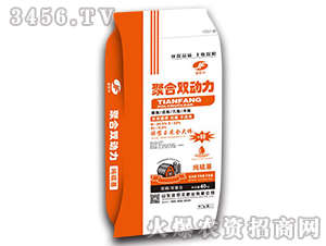 �ۺ��p����-����S