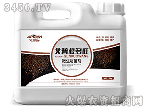 ΢�������-���ո�����-������