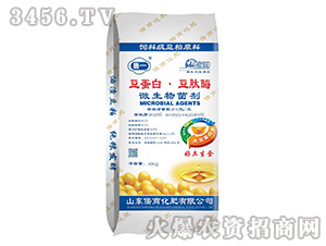 40kg�����ס�����ø΢�������-��һ-����