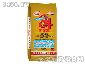 ΢�������-84����܊-����