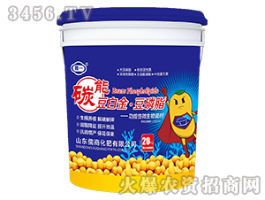 ������΢�������-̼�ܶ��׽𡤶���֬-����