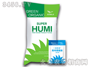 �߼���ֲ��-һ���Դ-Ҽ������