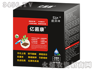 �|����-ʢ����