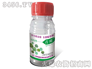 ���ף��t��-ʢ����