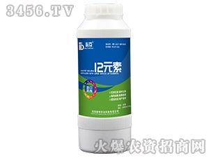 12Ԫ��-�ػ�-�W���r(n��ng)�I(y��)