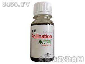 ���ч�������-���Ӿ�-��������