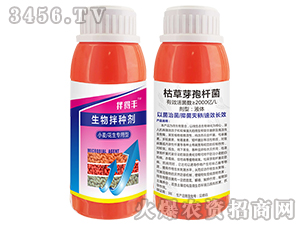 �����N��-����S-���T����