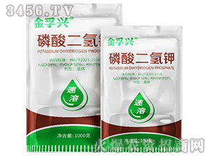 ��������-�����d-���S�ʘI(y��)