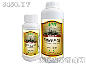 ø�ⰱ����-�����d-���S�ʘI(y��)