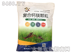 ��(f��)���}�V�w��-΢�S�b