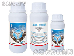 ���衤������-��ؐ��