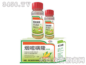 ���׻�¡-��ؐ��