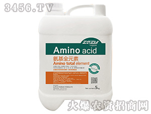 ����ȫԪ��-�Ѻ�