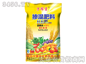 �������23-6-6-�f����