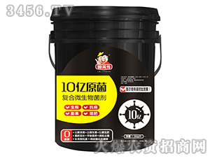 10�|ԭ����(f��)��΢�������-��T��