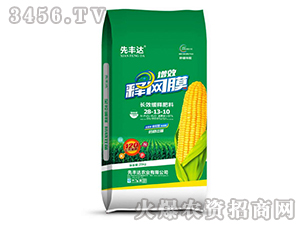 �L(zh��ng)Ч��ጷ���28-13-10-��ЧጾW(w��ng)Ĥ-���S�_(d��)