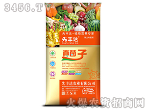 ֲ��I(y��ng)�B(y��ng)��(zhu��n)��-�����-���S�_(d��)