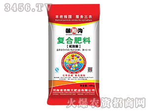 �������(f��)�Ϸ���26-11-11-��ꖜ�-�G���