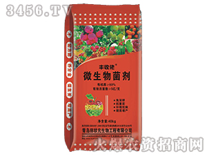 ΢�������-�S����-���Ԫ