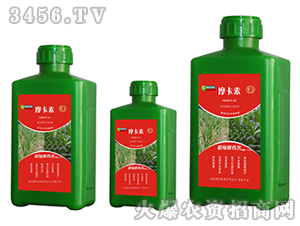 ������ˎ������������Һ�ķ�-Ħ����-��о