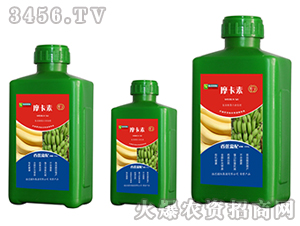 �㽶���ð���������Һ�ķ�-Ħ����-��(qi��ng)о