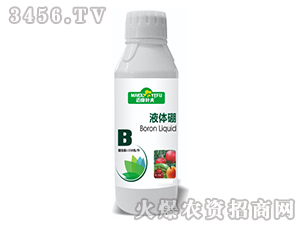 Һ�w��-�~���~��