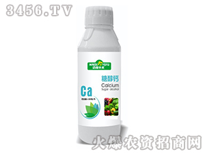 �Ǵ��}-�~���~��